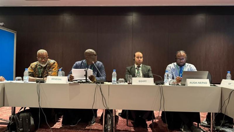 يس رجائي في اجتماع