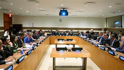 رئيس الوزراء يشارك في اجتماع بشأن 