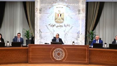 مجلس الوزراء يوافق علي إقامة 3 مشروعات للعمل بنظام المناطق الحرة الخاصة 