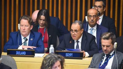 وزير الخارجية: ضعف النظام متعدد الأطراف يحد من قدرة 