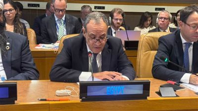 وزير الخارجية: مصر ملتزمة بالعمل مع الشركاء الدوليين لإعادة إعمارغزة