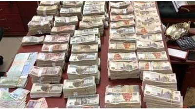 ضبط عنصرين جنائيين لقيامهما بغسـل 15 مليون جنيه من حصيلة الهجرة غير الشرعية