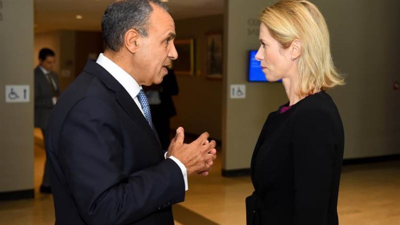 د. بدر عبد العاطي