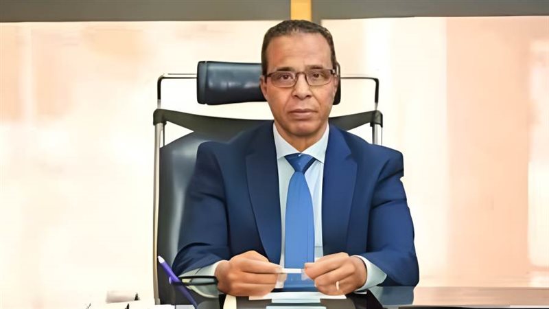 المهندس نصر أبو الحسن