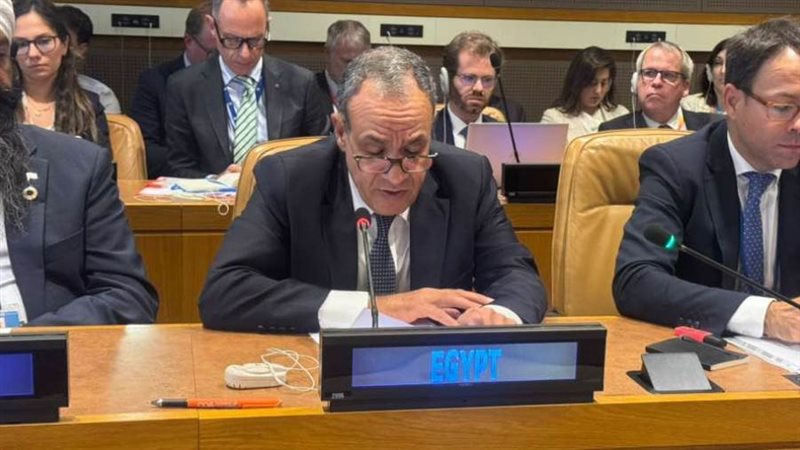 الدكتور بدر عبد العاطي