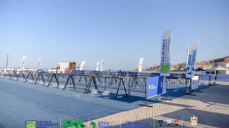 البطولة العربية والإفريقية