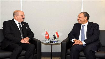 وزير الخارجية يؤكد حرص مصر على مواصلة العمل المشترك مع تونس