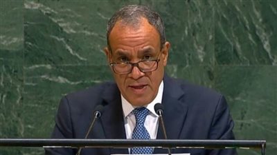 وزير الخارجية: مصر لم ولن تكون بوابة لتصفية القضية الفلسطينية