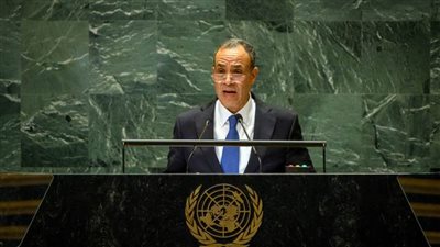 عاجل.. وزير الخارجية: سكرة القوة دائماً ما تنتهي بكارثة.. وكان علينا دق ناقوس الخطر