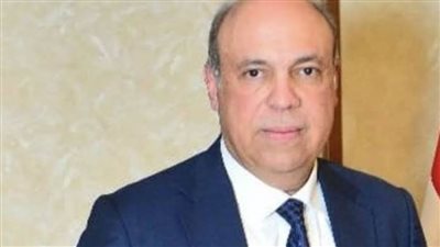 وزير الطيران المدني: العلاقات المصرية الإماراتية نموذج رائد للتعاون العربي البنّاء