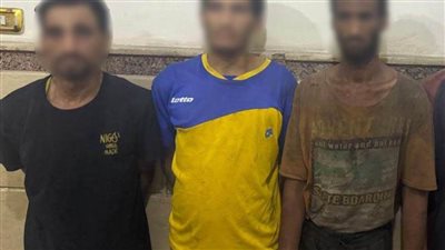 حقيقة نشوب مشاجرة بين عدد من جامعي القمامة لخلافات بينهم حول حصيلة ترويجهم للمخدرات