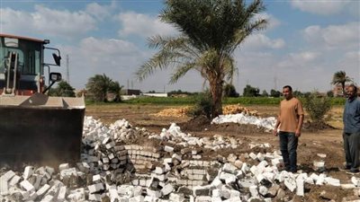 إزالة 626 حالة تعدٍ على الأراضي الزراعية وأملاك الدولة في المنيا