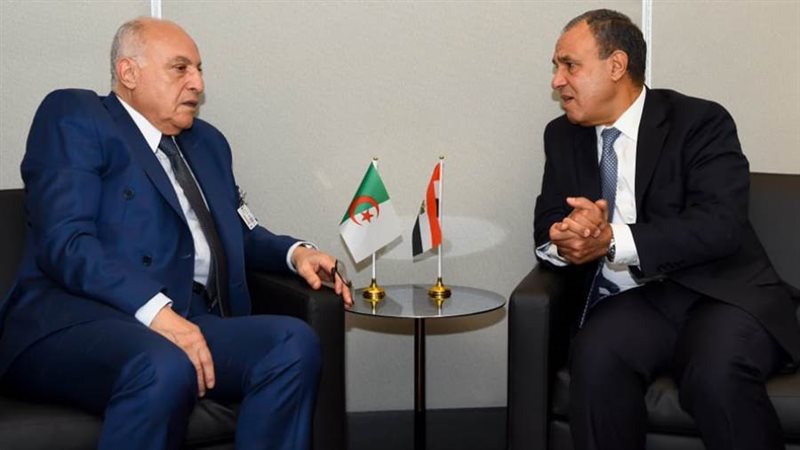 وزير الخارجية د.