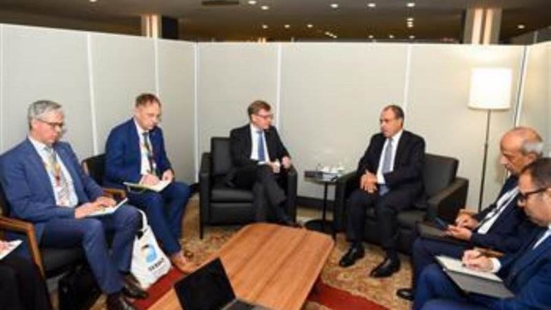 الدكتور بدر عبد العاطي