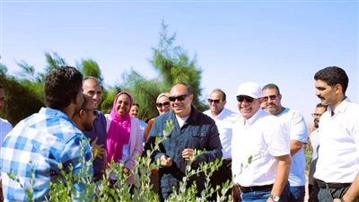 رئيس هيئة تنمية الصعيد يتفقد مشروع 