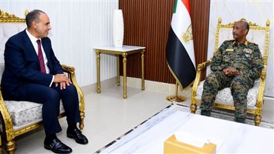 وزير الخارجية لـ رئيس مجلس السيادة السوداني: مصر تواصل جهودها لتحقيق استقرار السودان الشقيق
