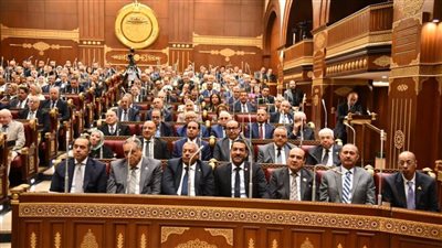 عاجل| الشيوخ يوافق على استقالة 14 عضوا لعزمهم الترشح لانتخابات النواب 