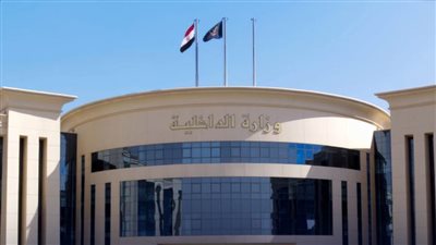 مصدر أمنى يكشف كذب الارهابية حول مقطع فيديو قديم