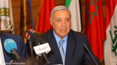 غدًا..الحكم في دعوى عدم دستورية قانون السجل العيني المتعلق بالوصاية 