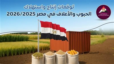 بالفيديوجراف.. “توقعات انتاج واستهلاك الجبوب والأعلاف في مصر 2025/2026