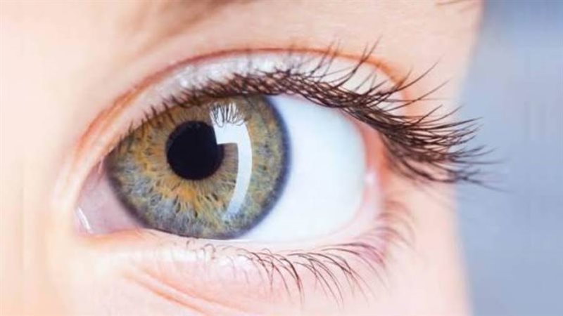 قرنية العيون