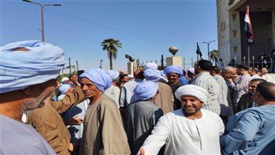 رئيس محكمة أسوان: 4 لجان عامة و190 لجنة فرعية لانتخابات النواب بأسوان