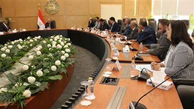 لجنة الاستفادة من العناصر الأرضيّة النادرة والحرجة تعقد أول اجتماعاتها برئاسة وزير الكهرباء والطاقة المتجددة