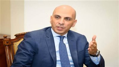 متحدث الخارجية: اتفاق وقف إطلاق النار في غزة نجاح للدولة المصرية بالكامل