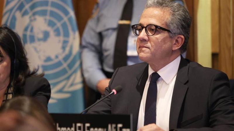 الدكتور خالد العناني