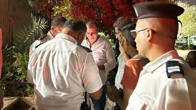 الجيزة تكشف ملابسات العثور على تمساح صغير بحدائق الأهرام 