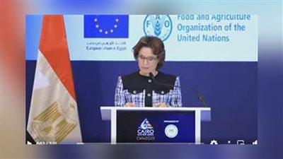 مسؤولة أوروبية: نهر النيل شكّل عبر آلاف السنين أبرز الحضارات المائية في التاريخ الإنساني