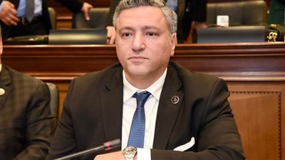 قيادي بحماة الوطن: قمة شرم الشيخ ترسّخ لمكانة مصر القوية