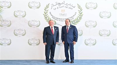 الخارجية الأردنية: نأمل أن تسهم قمة شرم الشيخ في تحقيق السلام على أساس حل الدولتين