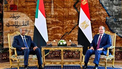 عاجل .. مصر والسودان يؤكدان وحدة الموقف إزاء السد الإثيوبي