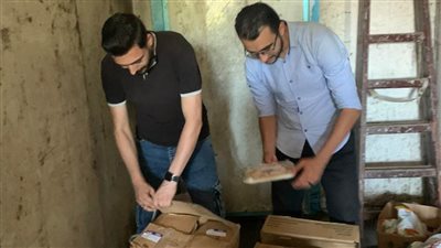 خلال حملات بمولد السيد البدوى 