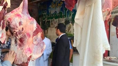 تحرير 272 مخالفة تموينية وضبط سلع مدعمة قبل بيعها في السوق السوداء بالمنيا 