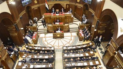 شاهد.. الجلسة الافتتاحية لمجلس الشيوخ 