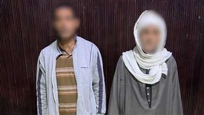 كشف ملابسات تداول فيديو بقيام شخصين بالتعدي على سيدة بالضرب وتمزيق ملابسها بالبحيرة