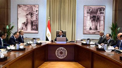 رئيس الوزراء يستعرض مع الرئيس التنفيذي لوكالة الفضاء المصرية مستجدات برنامج الفضاء الوطني