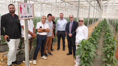 إشادة أوروبية بجهود الهيئة القومية لسلامة الغذاء في تعزيز الصادرات المصرية