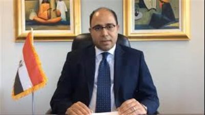 السفير أحمد أبو زيد: القمة المصرية الأوروبية الأولى خارطة طريق لأولويات الشراكة المقبلة مع أوروبا