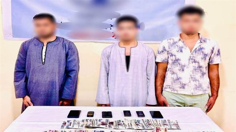 بوابة روز اليوسف