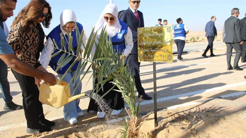 الوادي الجديد تستقبل