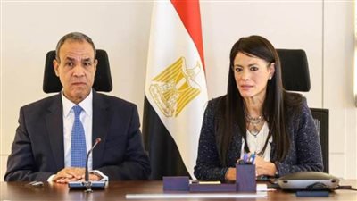 وزيرا التخطيط والخارجية يناقشان عددًا من ملفات العمل المشترك