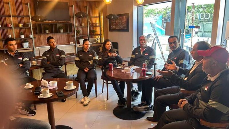 السفير المصري في