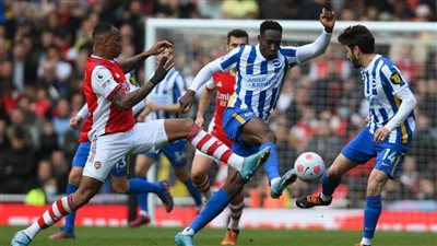 كيف ينجو العقرب الألماني من 