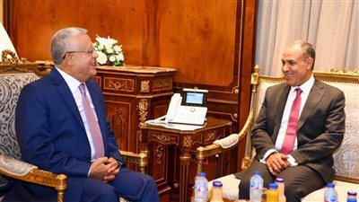 وزير الخارجية يلتقي رئيس مجلس النواب