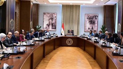 رئيس الوزراء يتابع تنفيذ مشروعات الطاقة المُتجددة وربطها على الشبكة القومية للكهرباء