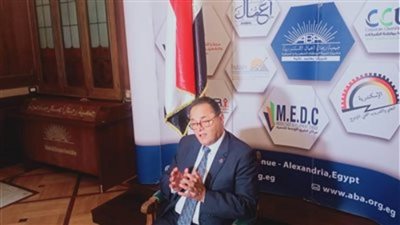 رئيس شعبة النقل الدولي يتوقع انتعاش حركة السفن بقناة السويس