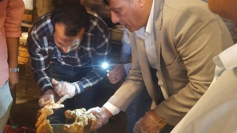 بوابة روز اليوسف